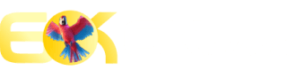 Aposta maxima - Brking777
